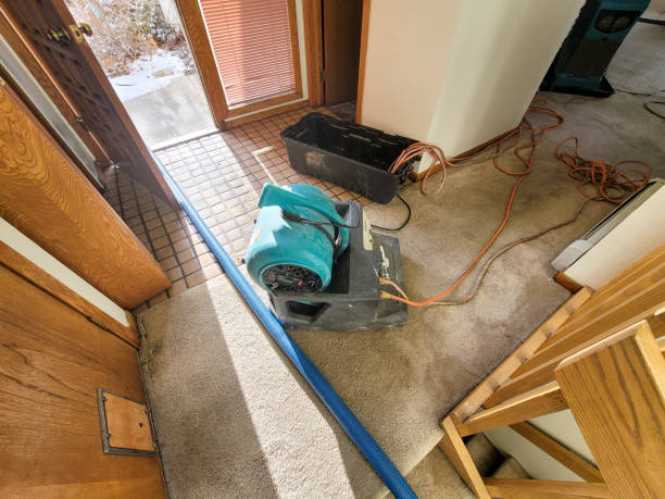 Best Water damage restoration near me  in Casey, IL