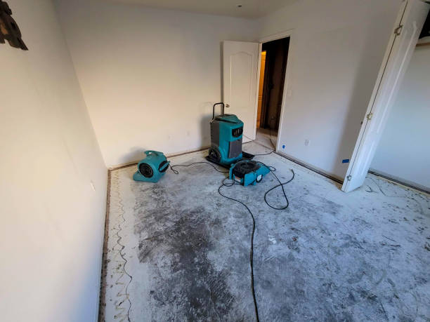 Best Professional water damage repair  in Casey, IL