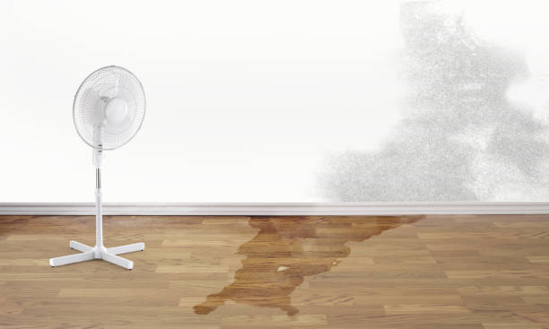 Carpet water damage restoration in Casey, IL