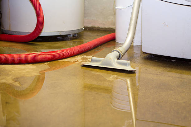 Best 24-hour water damage restoration  in Casey, IL