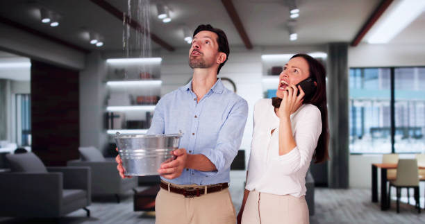 Best Fire Damage Restoration  in Casey, IL